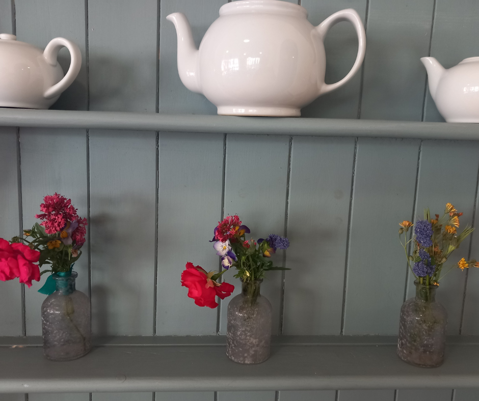 A Blooming Surprise at Exmouth House Image